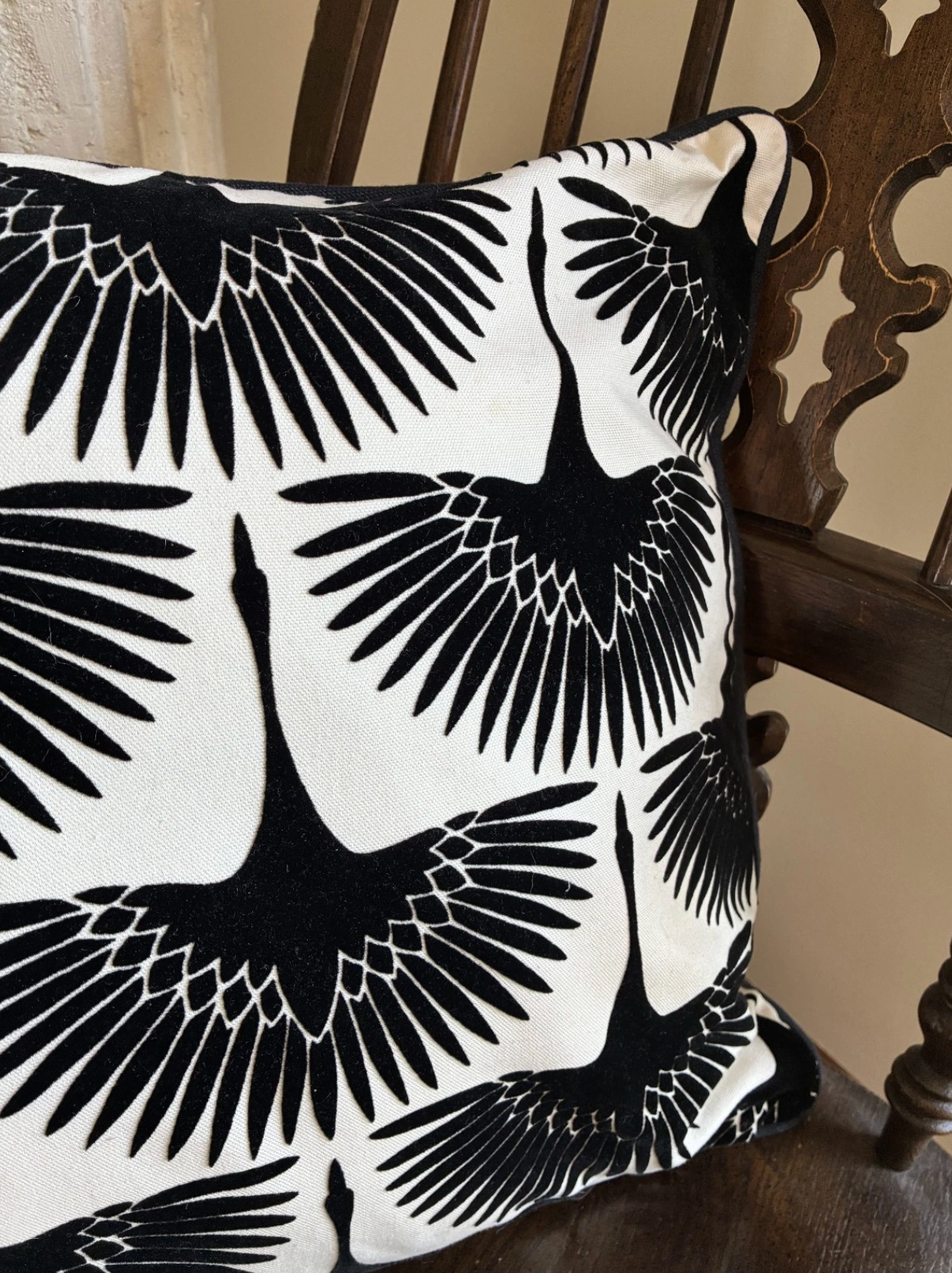 Black and Ivory Velvet Pillow